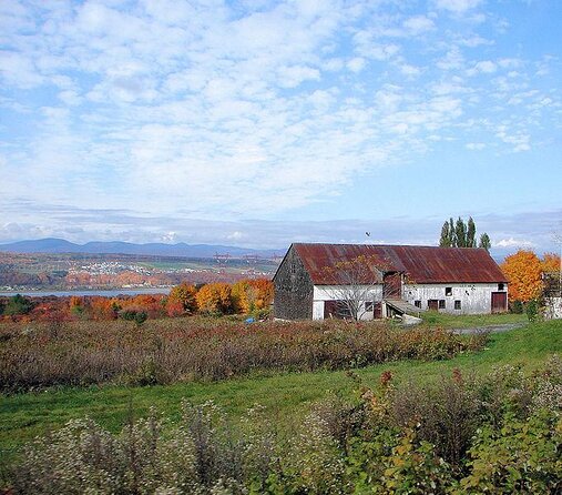 Island of Orleans Taste and Drink Tour - Key points to know before you book