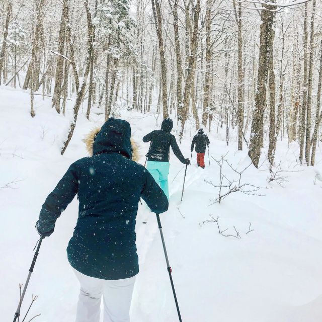 Jacques-Cartier National Park: Skiing Excursion - What the guide adds to the forest