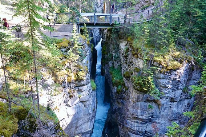 Jasper and Columbia Skywalk Icefield Parkway Private Day Tour - What the private format adds