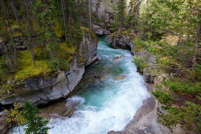 Jasper Ice Climbing Experience - Key points to know before you book