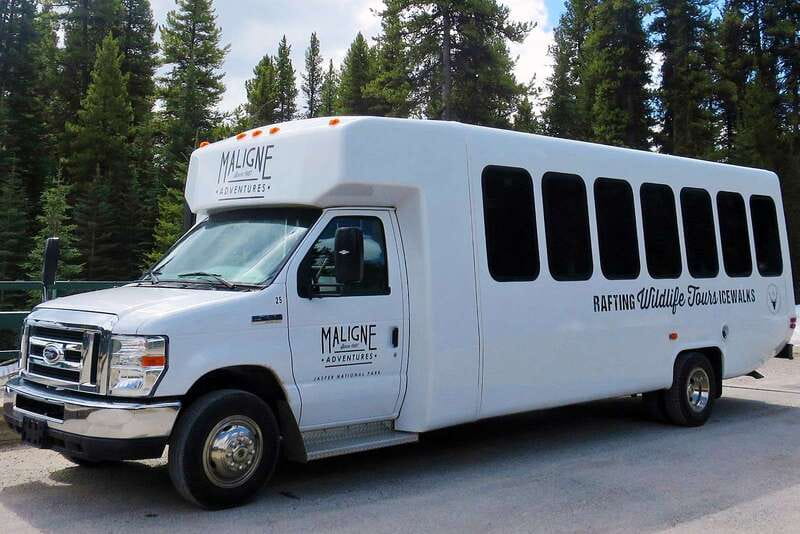 Jasper National Park: Evening or Morning Wildlife Watch Tour - Transport, pickup, and comfort