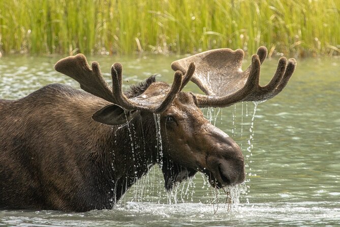 Jasper National Park Tour Maligne Valley, Medicine Lake with Walk - Packing advice for a day with changing weather