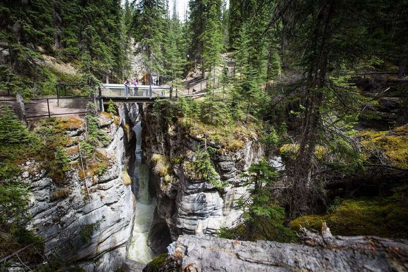 Jasper: Sightseeing Tour with Maligne Lake Cruise - Maligne Canyon and its 50-meter walls