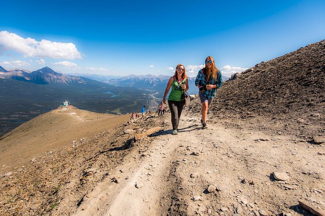 Jasper SkyTram - What you find at the alpine upper station