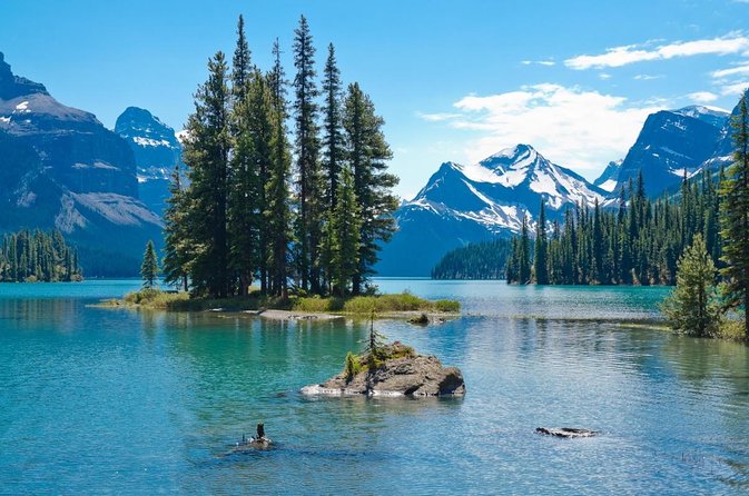 Jasper Wildlife and Sightseeing Tour with Maligne Lake Hike - Key points to know before you book