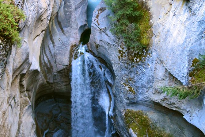 Jasper Wildlife and Sightseeing Tour with Maligne Lake Hike - The drive into Jasper’s wildlife country