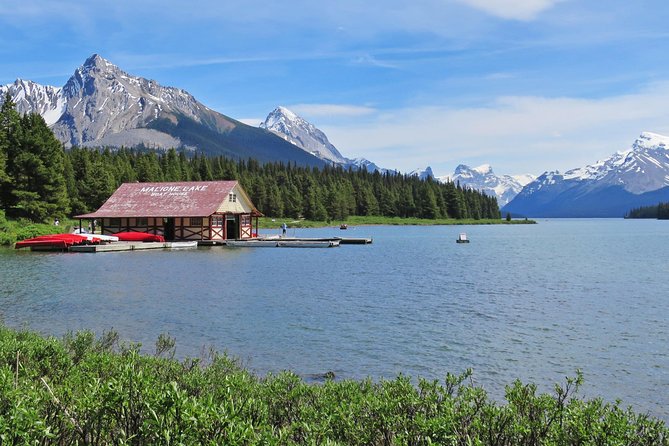 Jasper Wildlife and Sightseeing Tour with Maligne Lake Hike - Maligne Adventures and the optional stop information