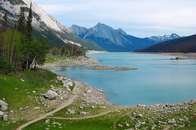 Jasper Wildlife and Sightseeing Tour with Maligne Lake Hike - Who should book this six-hour outing