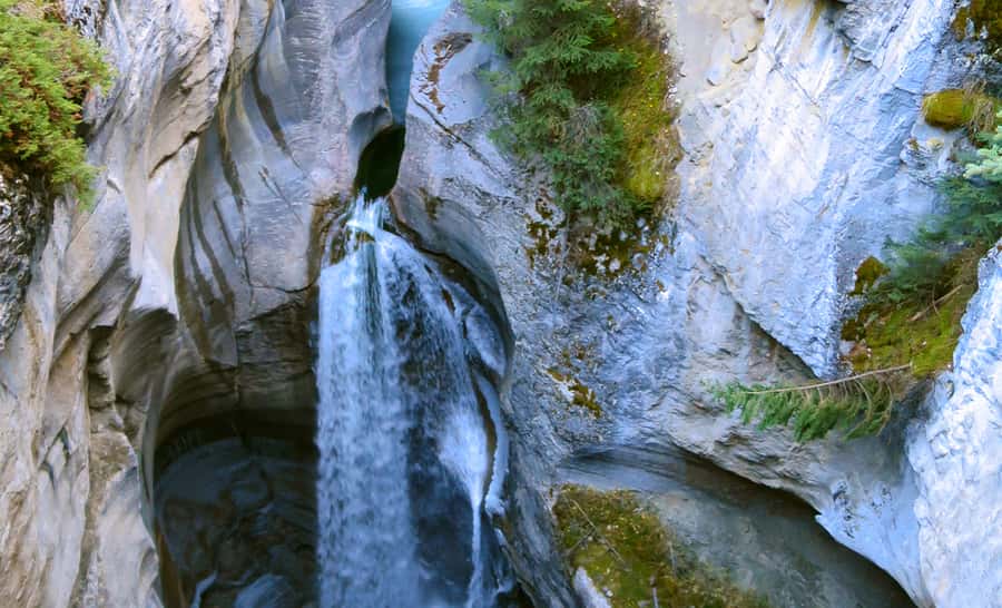 Jasper: Wildlife and Waterfalls Tour with Lakeshore Hike - Key points to know before you go