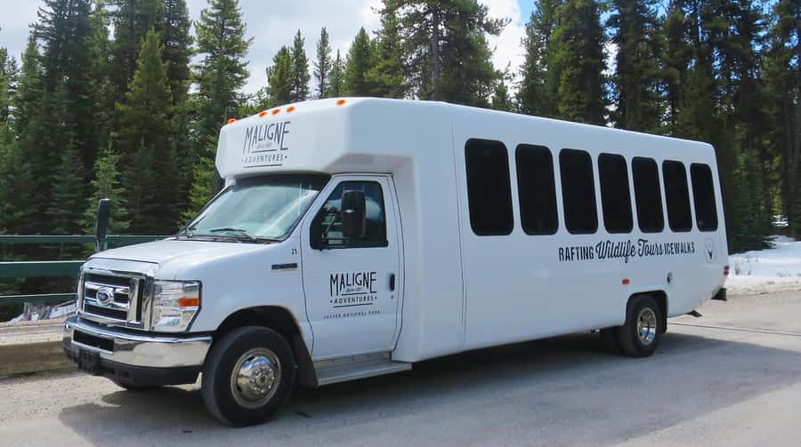 Jasper: Wildlife and Waterfalls Tour with Lakeshore Hike - Why the Maligne Valley makes a strong half-day trip