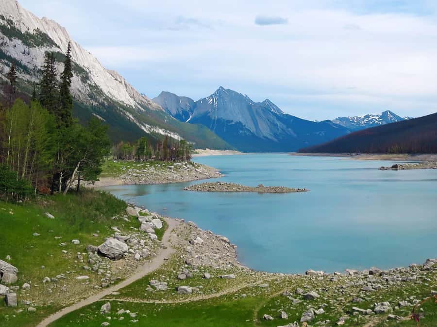 Jasper: Wildlife and Waterfalls Tour with Lakeshore Hike - Guides make the difference