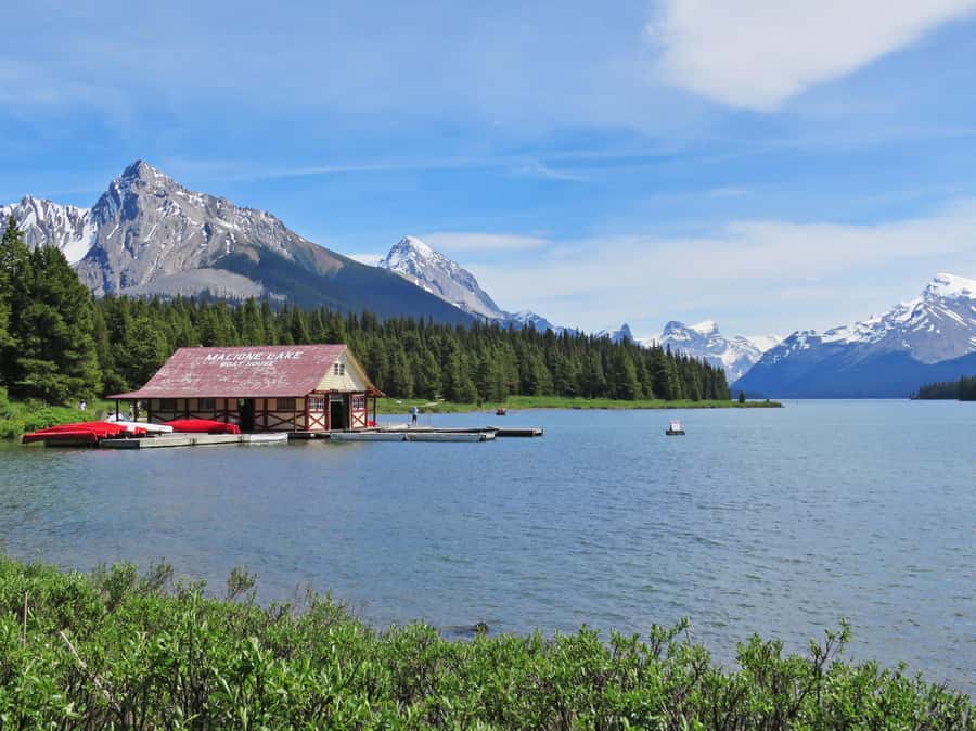 Jasper: Wildlife and Waterfalls Tour with Lakeshore Hike - What the $77 price includes