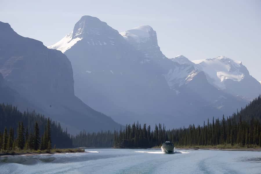 Jasper: Wildlife and Waterfalls Tour with Maligne Cruise - Who should book this tour?