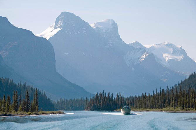 Jasper Wildlife & Sightseeing Tour with Maligne Lake Cruise - Is $176.84 a fair price?