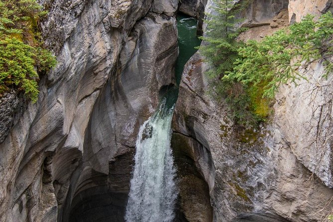 Jasper Wildlife & Sightseeing Tour with Maligne Lake Cruise - Maligne Canyon after the 2024 wildfire