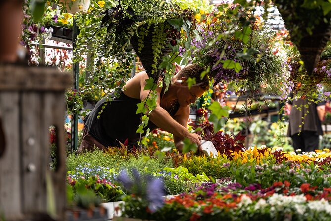 Jean-Talon Market & Little Italy Small Group Walking Tour - Who will get the most from this walk?