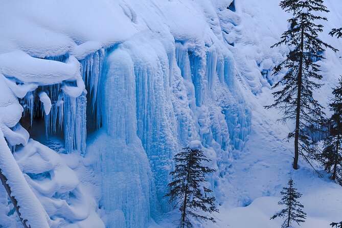 Johnston Canyon Frozen Waterfalls - Small Group Tour - What the guides add to the morning