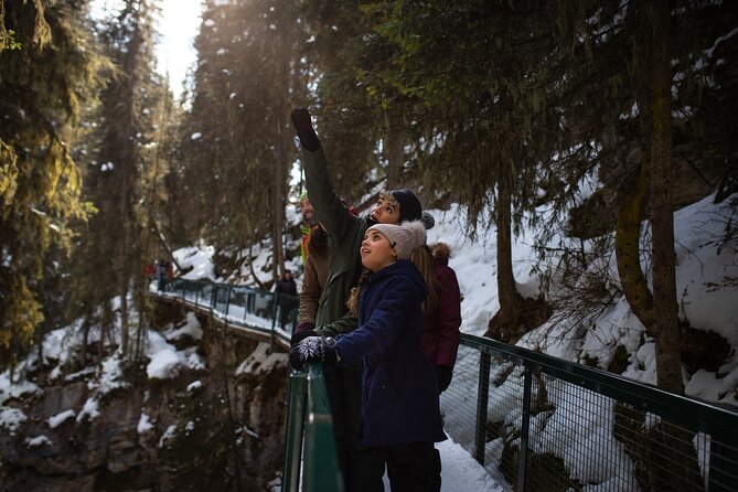 Johnston Canyon Frozen Waterfalls - Small Group Tour - Who should book this Johnston Canyon tour?