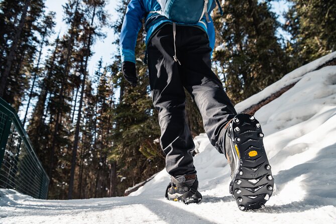Johnston Canyon Icewalk - Walking to the lower falls