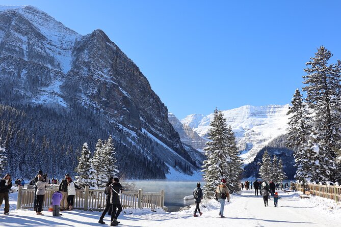 Johnston Canyon, Lake Louise & Banff: Small-Group Day Tour - Lake Louise: the iconic stop, with limited time