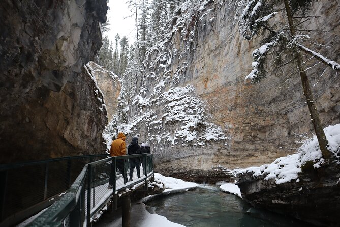 Johnston Canyon, Lake Louise & Banff: Small-Group Day Tour - Banff Avenue: two hours for lunch and local flavor