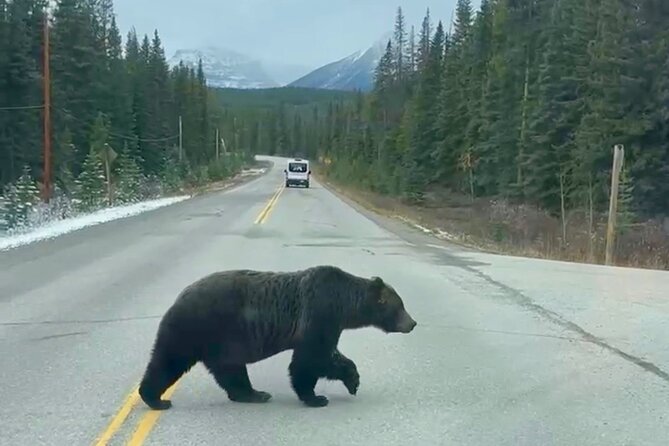 Johnston Canyon, Lake Louise & Banff: Small-Group Day Tour - Surprise Corner and the Banff Springs view
