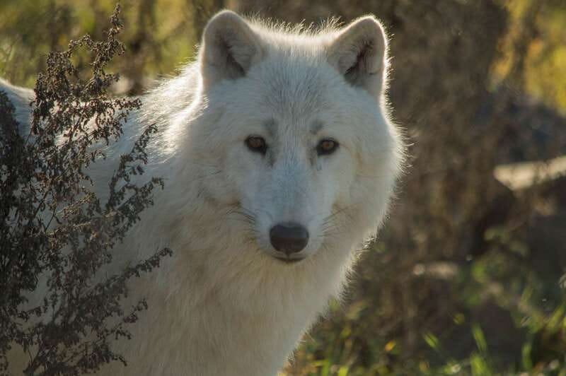 Kamloops: BC Wildlife Park Entry Ticket - Spending time inside the Discovery Centre