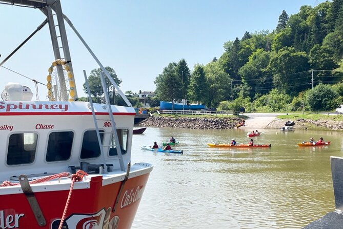 Kayak the Bay of Fundy Sea Caves - Key points to know before you paddle