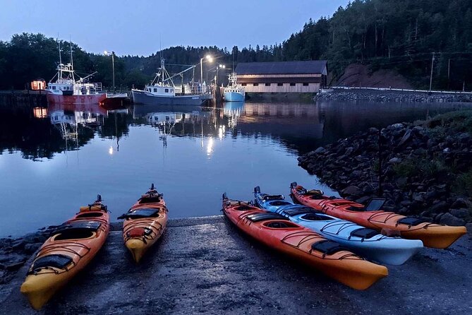 Kayak the Bay of Fundy Sea Caves - Who will enjoy this St. Martins kayak trip?