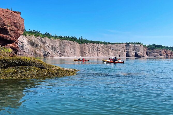 Kayak the Bay of Fundy Sea Caves - Booking, cancellation, and timing tips