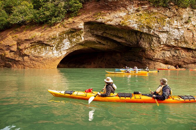 Kayak the Bay of Fundy Sea Caves - What the private 2-hour-15-minute outing feels like