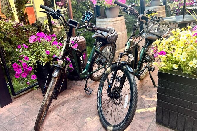 Kelowna E-Bike Bee Tour, Tastings, Organic Lunch & Audio Guide - What the $98.21 price includes