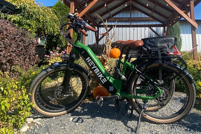 Kelowna E-Bike Bee Tour, Tastings, Organic Lunch & Audio Guide - Who will enjoy this Kelowna tour?