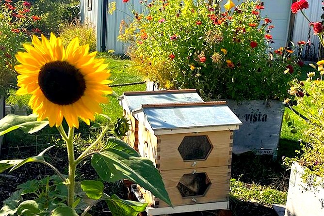 Kelowna E-Bike Bee Tour, Tastings, Organic Lunch & Audio Guide - Practical details that affect your day