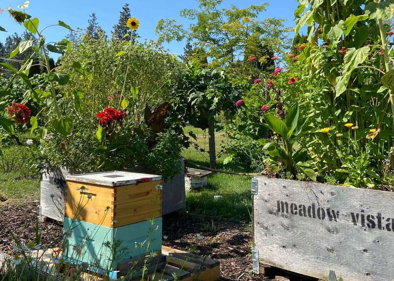 Kelowna: E-Bike Bee Tour w/ Tastings, Lunch, and Audioguide - A 20-minute audio visit with the hives