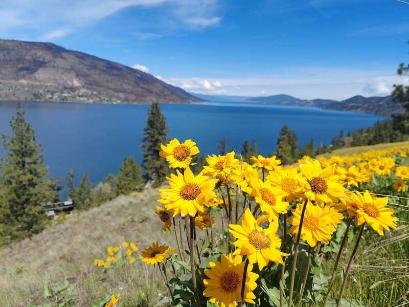Kelowna: E-Bike Rental with In-App Navigation Guide - Practical preparation before you leave