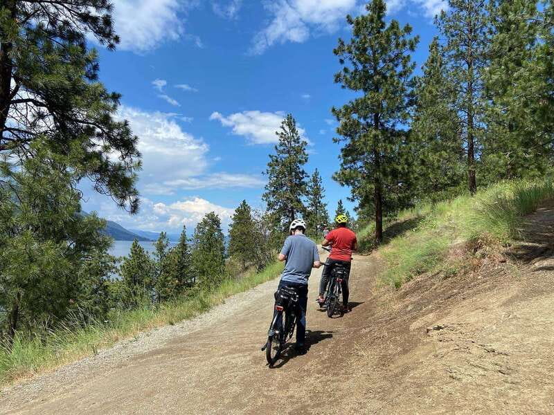 Kelowna: Okanagan Lake Guided E-Bike Tour with Picnic - How the small group changes the experience