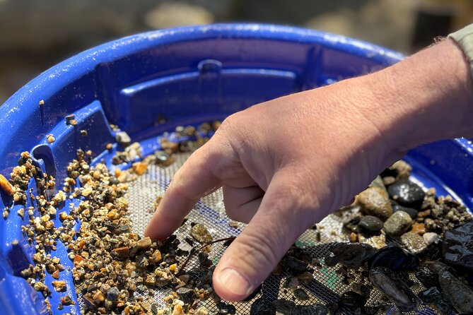 Kelowna Scenic Canyon Gold Panning Experience - The opening lesson with guide Mike