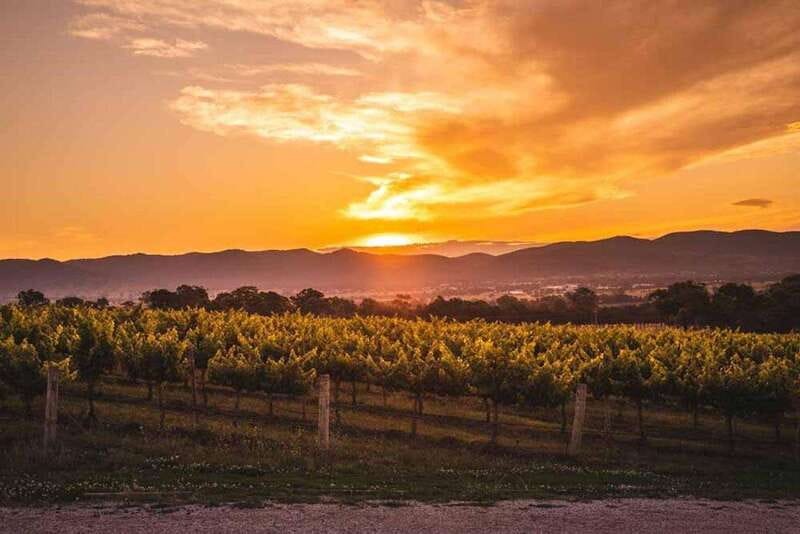 Kelowna: Sunset Sip Wine Tour - Frind Estate Winery: a polished change of pace