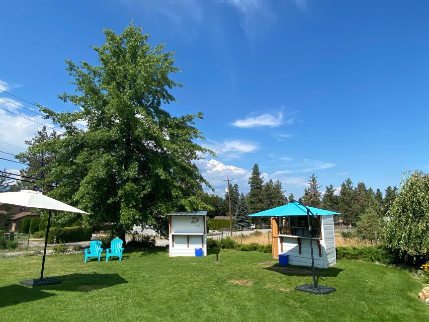 Kelowna: Wine Tasting by E-bike, Smartphone Guide & Lunch - Carrying bottles and managing the five-hour schedule