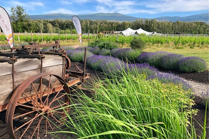 Kelowna Wine Tour by E-bike, Okanagan Valley Views and Lunch - Why an e-bike is the smart way to see Kelowna wine country