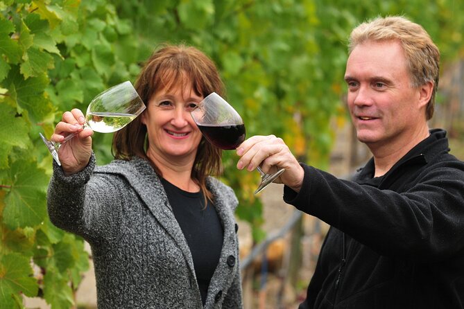 Kelowna Wine Tour by E-bike, Okanagan Valley Views and Lunch - Hidden Vines Family Estate Winery: a quieter first tasting