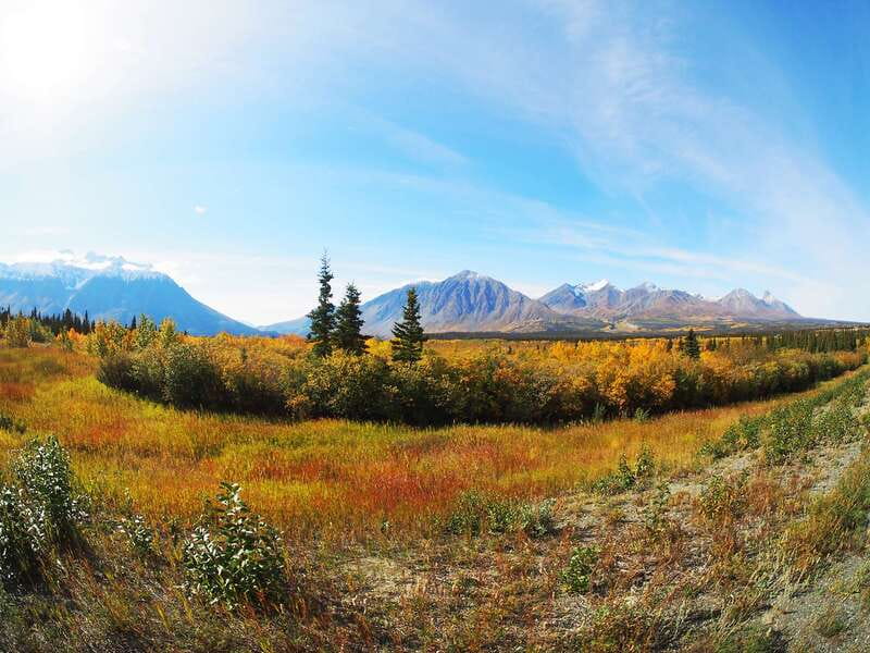 Kluane National Park: Full Day Tour - Key points to know before you book