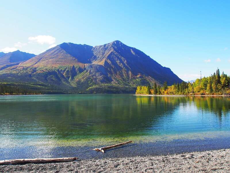 Kluane National Park: Full Day Tour - Wildlife, photography, and realistic expectations