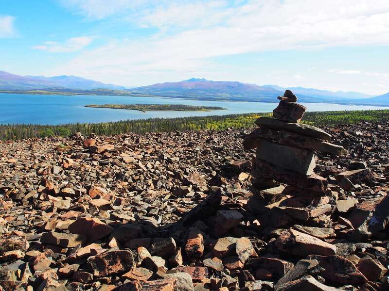 Kluane National Park: Full Day Tour - Timing, comfort, and who should book