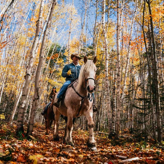 La Bleuetière: A charming introduction to horseback riding - A quiet start at the Charlevoix ranch