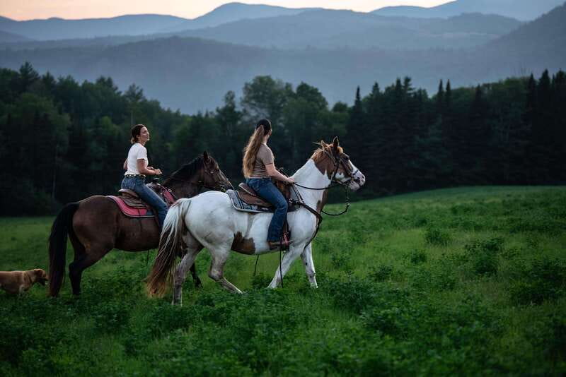 La Bleuetière: A charming introduction to horseback riding - Meeting the horses before the ride