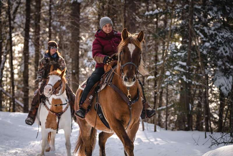 La Bleuetière: A charming introduction to horseback riding - The horses are part of the appeal
