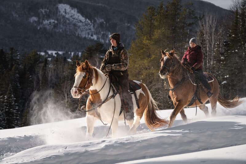 La Bleuetière: A charming introduction to horseback riding - Price and overall value at $68