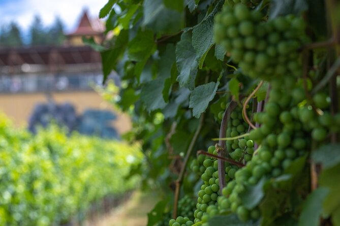 Lake Country Half Day Guided Wine Tour With 4 Wineries - Who will enjoy this half-day route?